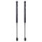 Trunk Lid Lift Support Set