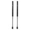 Trunk Lid Lift Support Set