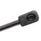 Trunk Lid Lift Support Set