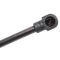Trunk Lid Lift Support Set