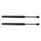 Trunk Lid Lift Support Set