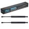 Trunk Lid Lift Support Set
