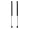 Trunk Lid Lift Support Set