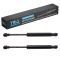 Trunk Lid Lift Support Set
