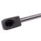 Trunk Lid Lift Support Set
