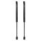 Trunk Lid Lift Support Set