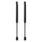 Trunk Lid Lift Support Set