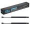 Trunk Lid Lift Support Set