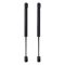 Trunk Lid Lift Support Set