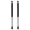Trunk Lid Lift Support Set