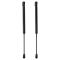 Liftgate Lift Support Set