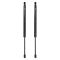 Liftgate Lift Support Set