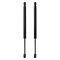 Liftgate Lift Support Set