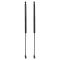 Liftgate Lift Support Set