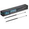 Liftgate Lift Support Set