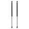 Liftgate Lift Support Set