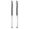 Liftgate Lift Support Set