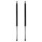 Liftgate Lift Support Set