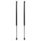 Liftgate Lift Support Set