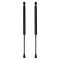 Liftgate Lift Support Set