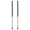 Liftgate Lift Support Set