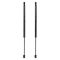 Liftgate Lift Support Set