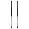 Liftgate Lift Support Set