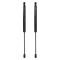 Liftgate Lift Support Set