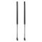 Liftgate Lift Support Set