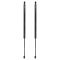 Liftgate Lift Support Set