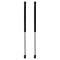 Liftgate Lift Support Set