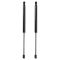 Liftgate Lift Support Set