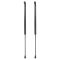 Liftgate Lift Support Set