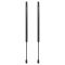 Liftgate Lift Support Set