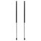 Liftgate Lift Support Set