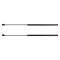 Liftgate Lift Support Set