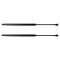 Liftgate Lift Support Set