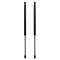 Liftgate Lift Support Set