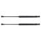 Liftgate Lift Support Set
