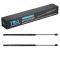 Liftgate Lift Support Set
