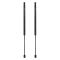 Liftgate Lift Support Set