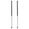 Liftgate Lift Support Set