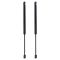 Liftgate Lift Support Set