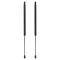 Liftgate Lift Support Set