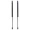Liftgate Lift Support Set
