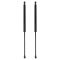 Liftgate Lift Support Set