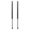 Liftgate Lift Support Set