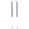 Liftgate Lift Support Set