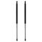 Liftgate Lift Support Set