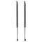 Liftgate Lift Support Set